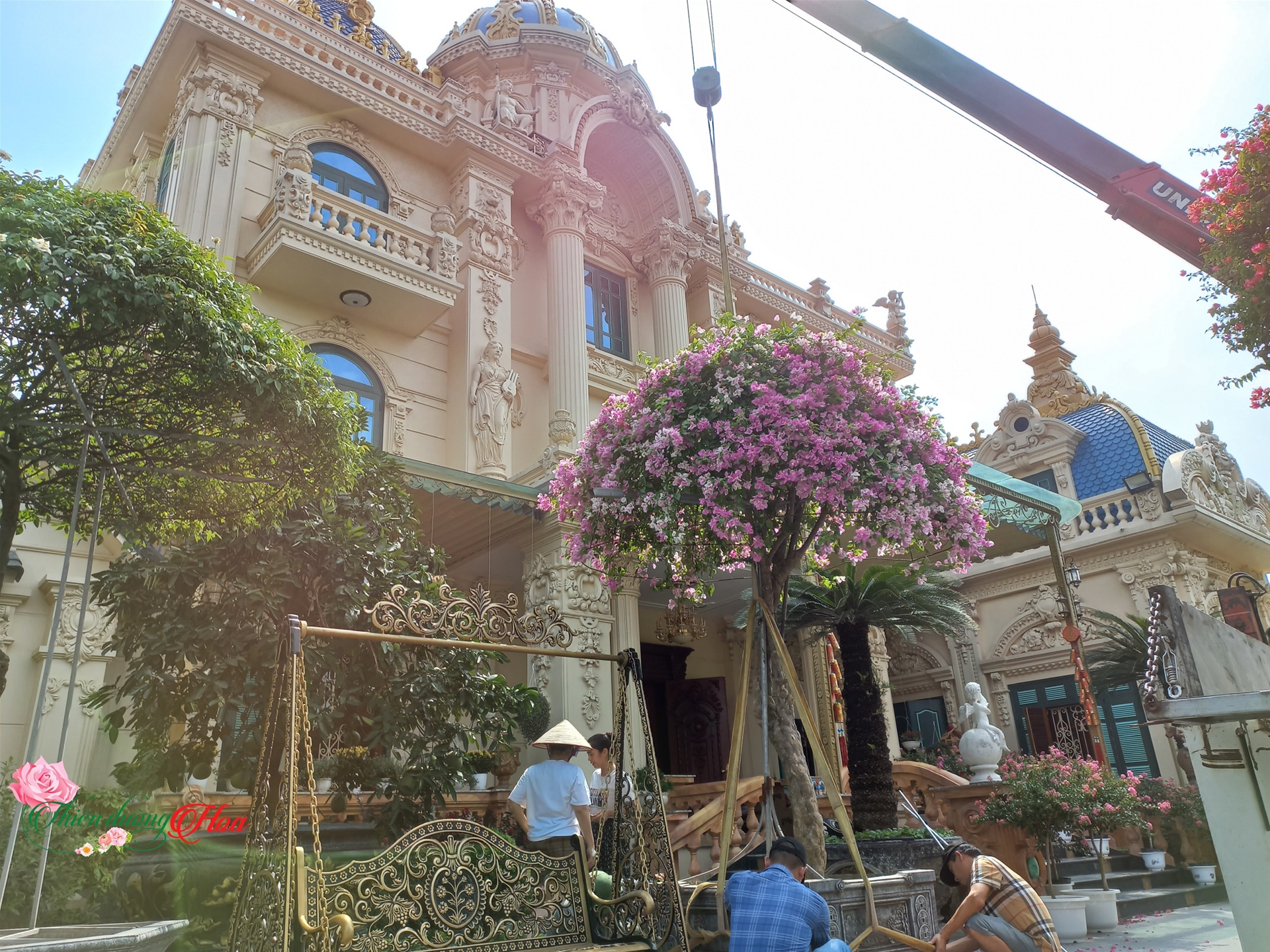 cảnh quan sân vườn